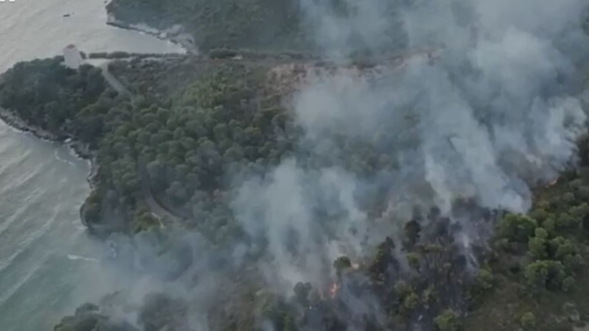 Vieste incendio bosco San Felice