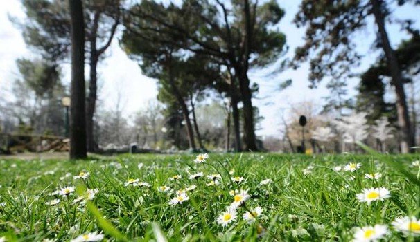 Meteo Italia, ondata di caldo anomalo e temperature record: previsioni fino ai primi di marzo