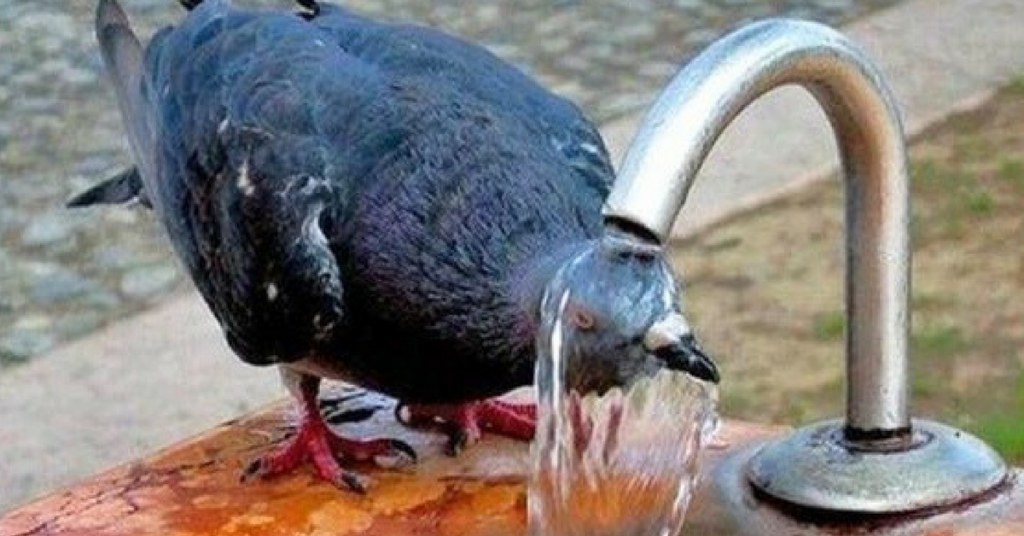 caldo meteo