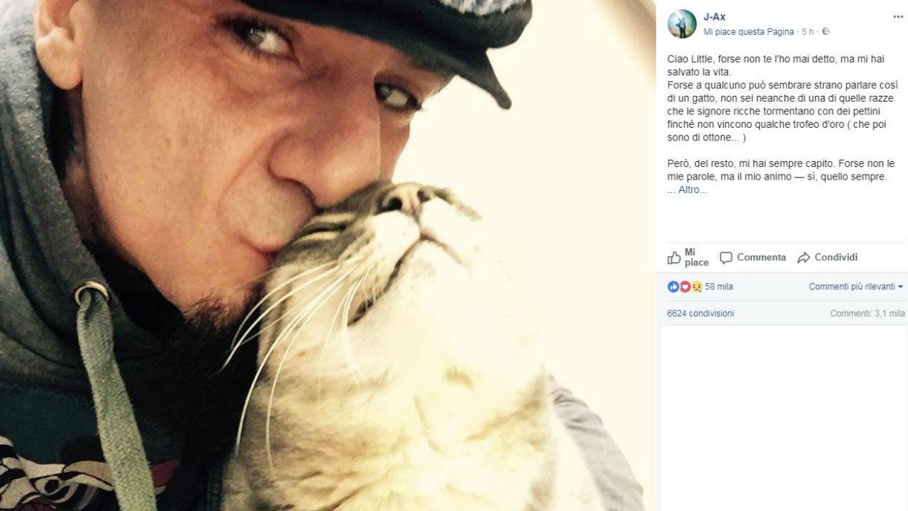 Mi Hai Salvato La Vita Lo Straziante Addio Di J Ax Al Suo Gatto Little
