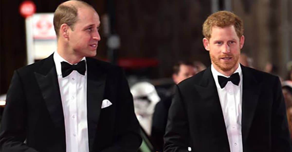 william-ed-harry