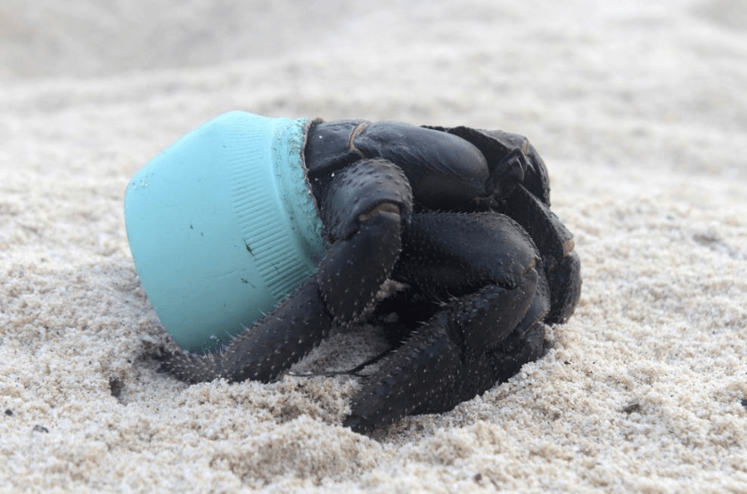 Tassa sulla plastica: l'ultima idea dell'UE
