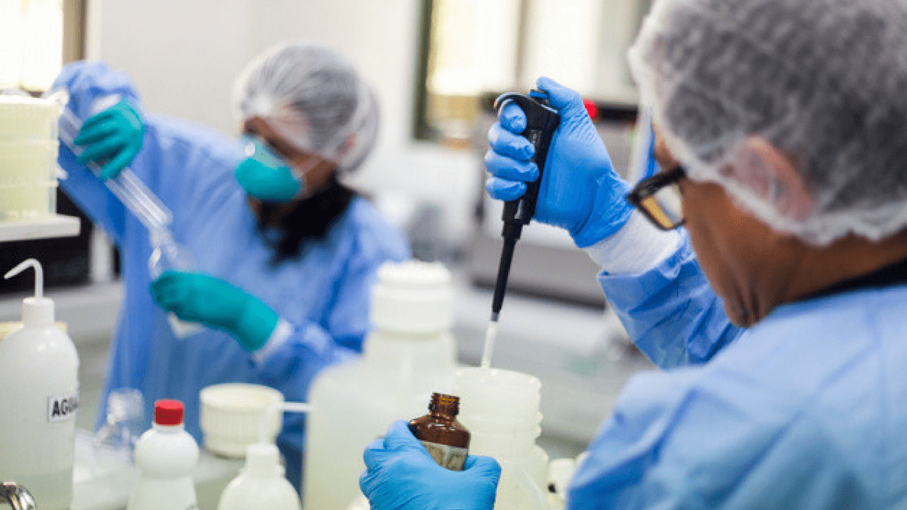 laboratorio malattia x