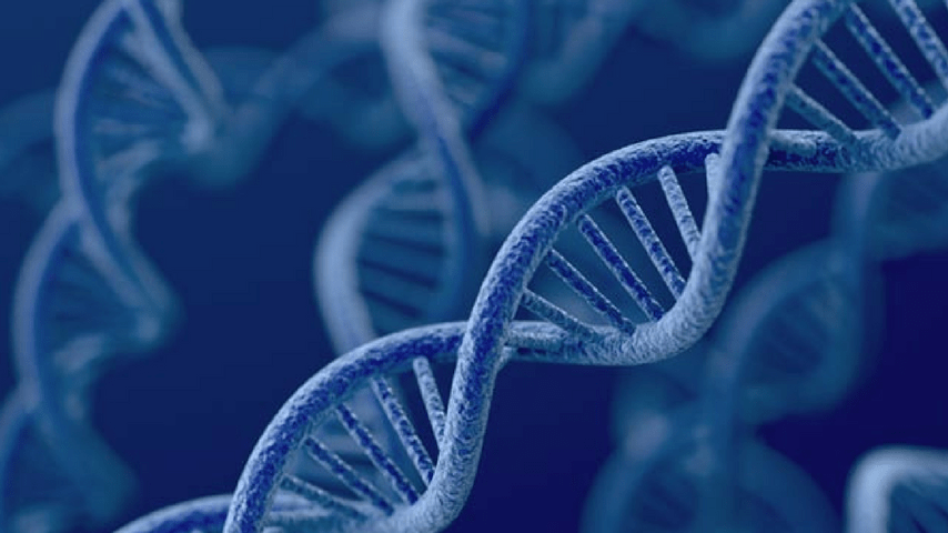 Molecola di DNA