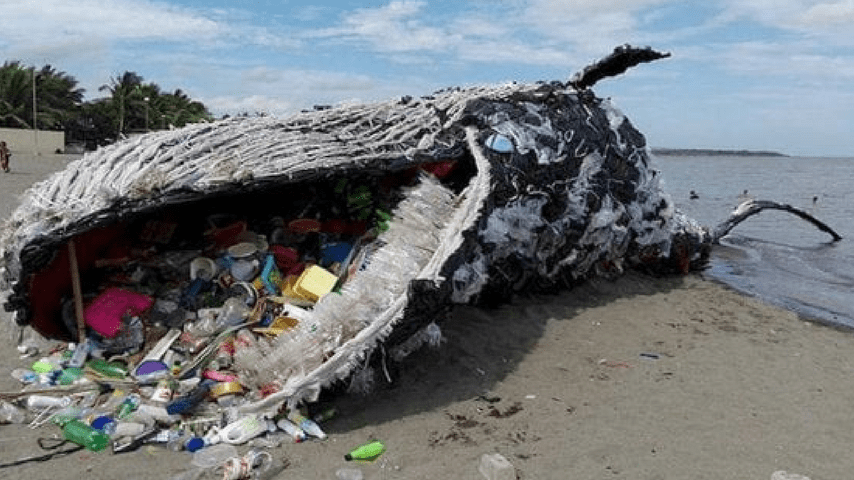 balena greenpeace