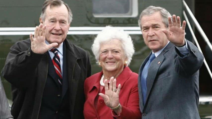 bush