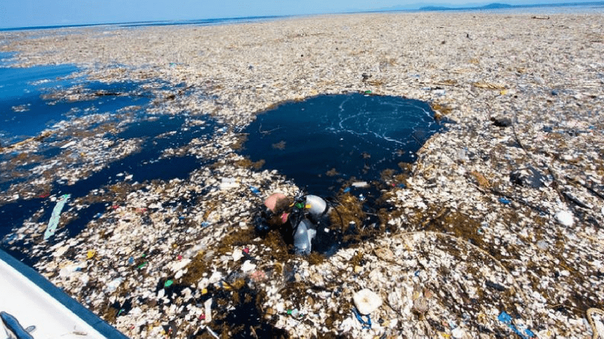 isola di plastica
