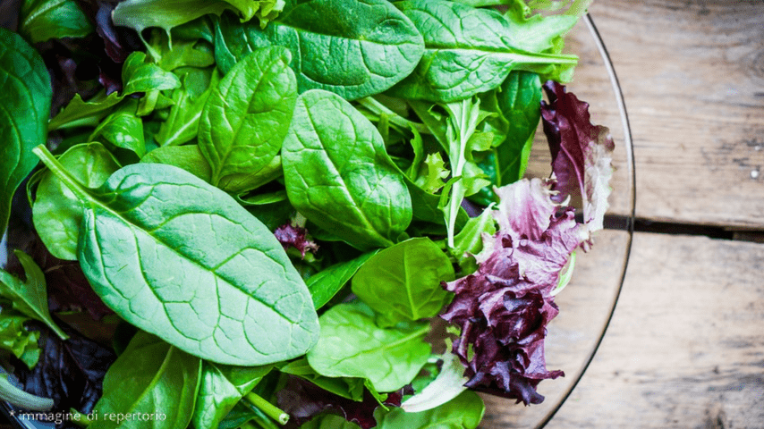 Ciotola insalata mista