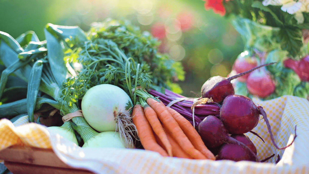 In continua crescita l’e-commerce nel settore alimentare, un must per gli italiani