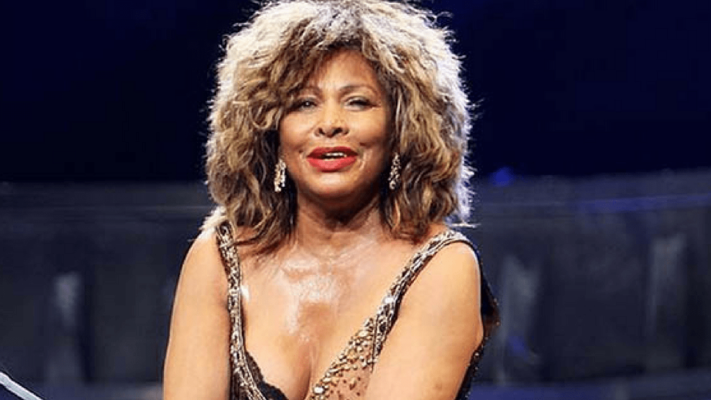 tina turner