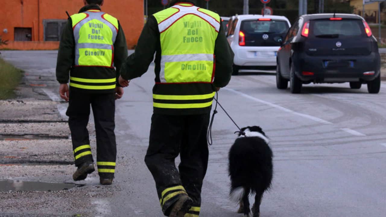 Bambina dispersa nei boschi: area circoscritta