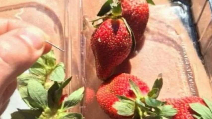 Presenza di aghi nelle fragole; fonte: EBU - ABC