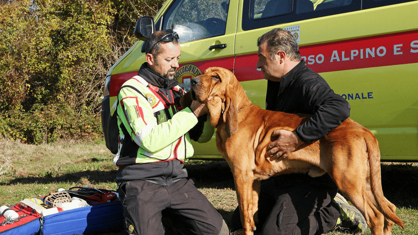iuschra bambina austistica scomparsa serle boschi ricerche unità cinofile soccorso alpino