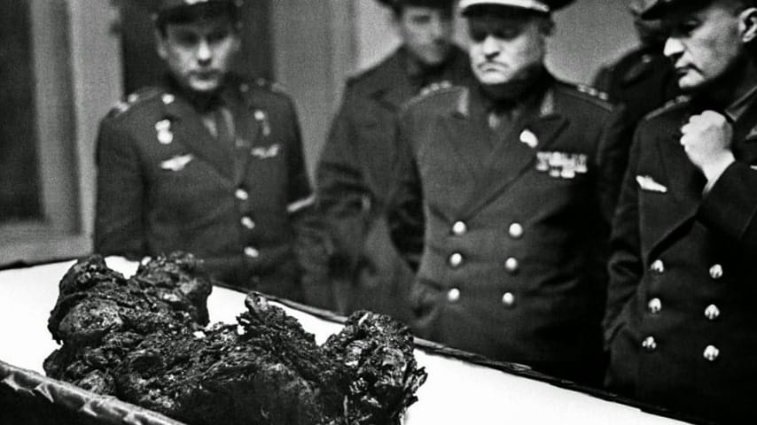 komarov resti