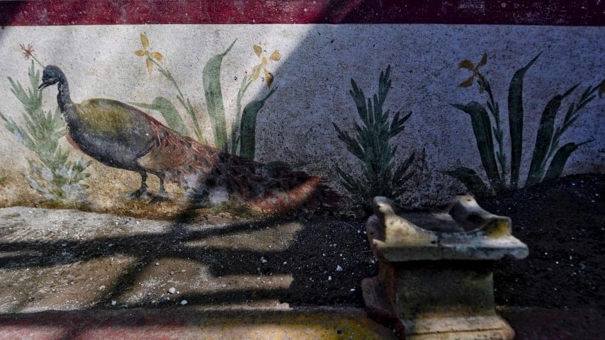 Il pavone della casa del giardino incantato