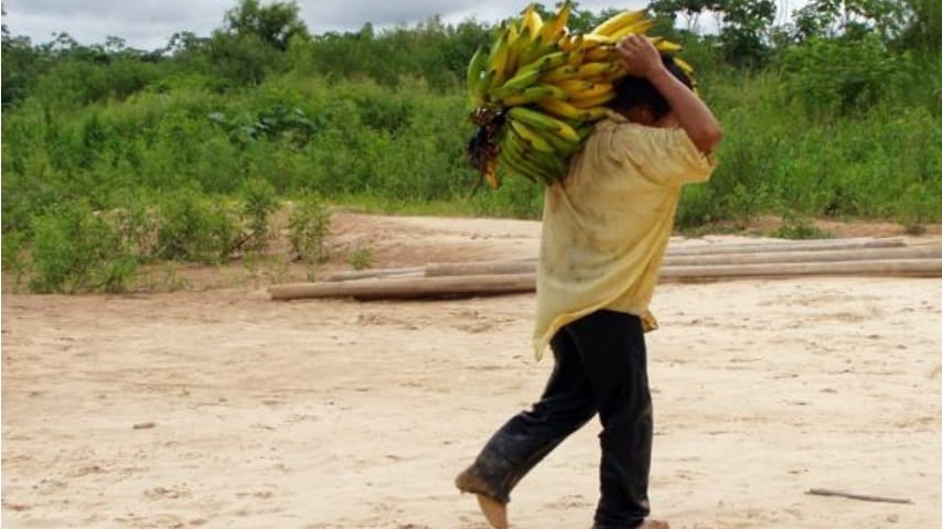 popolo tsimane