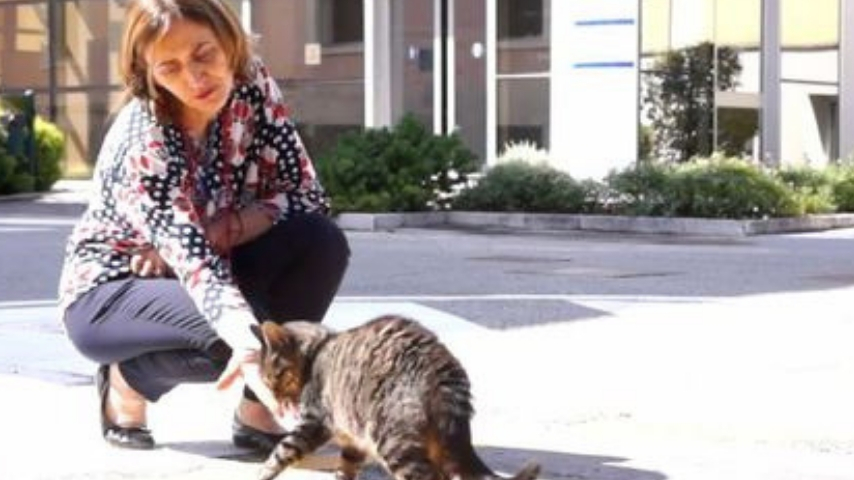 Tenny nei pressi dell'ospedale