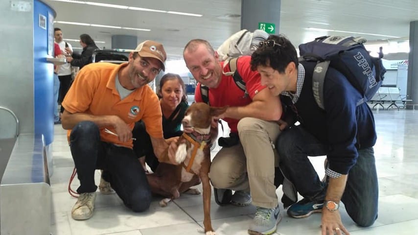 Associazione Podencos for life rescue