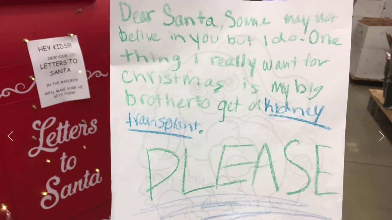 Una bimba a Babbo Natale: “Caro Babbo, vorrei un rene per mio fratello”