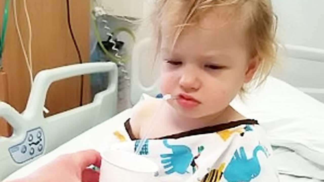 bimba-leucemia
