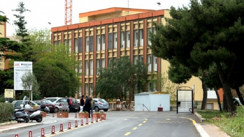 Topo che vaga nel reparto mlattie infettive dell'ospedale di Bisceglie