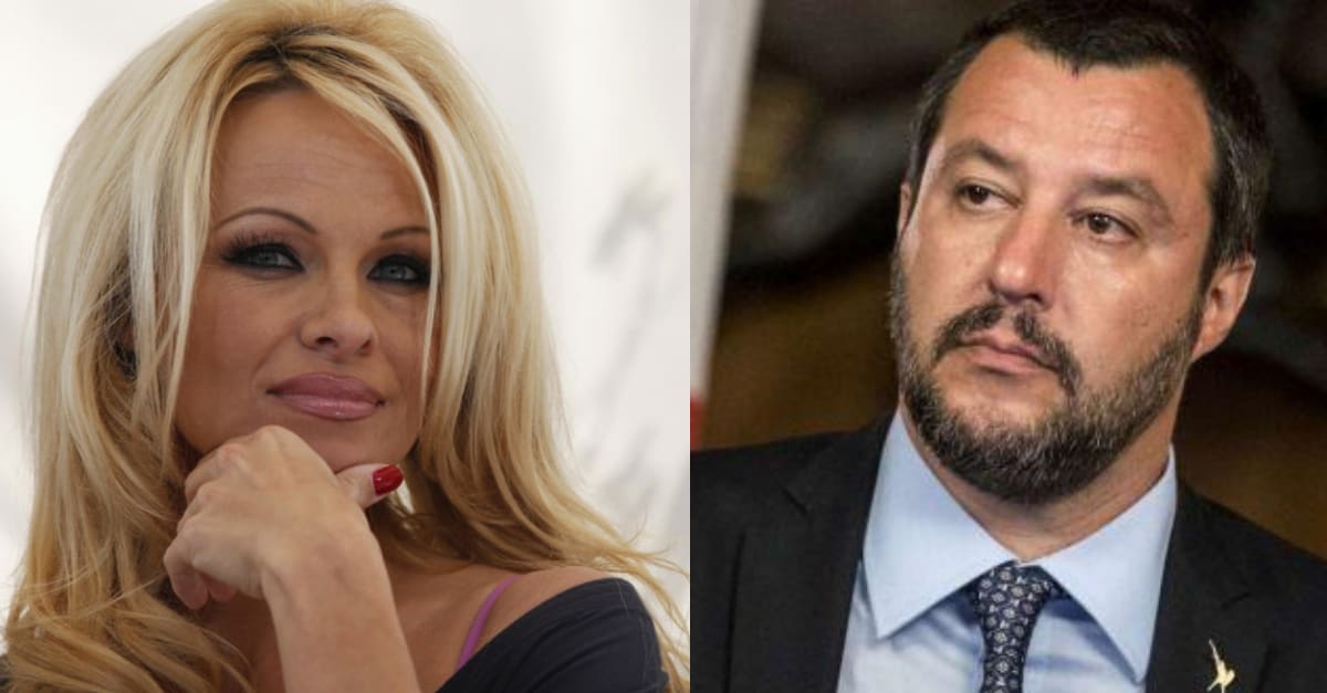 salvini-anderson