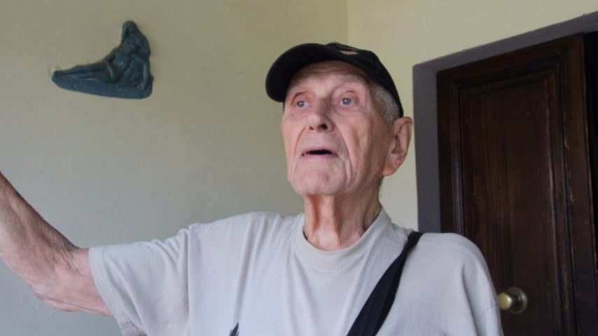 vigilanti