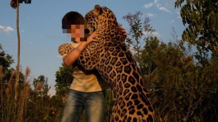 Tiago con un giaguaro
