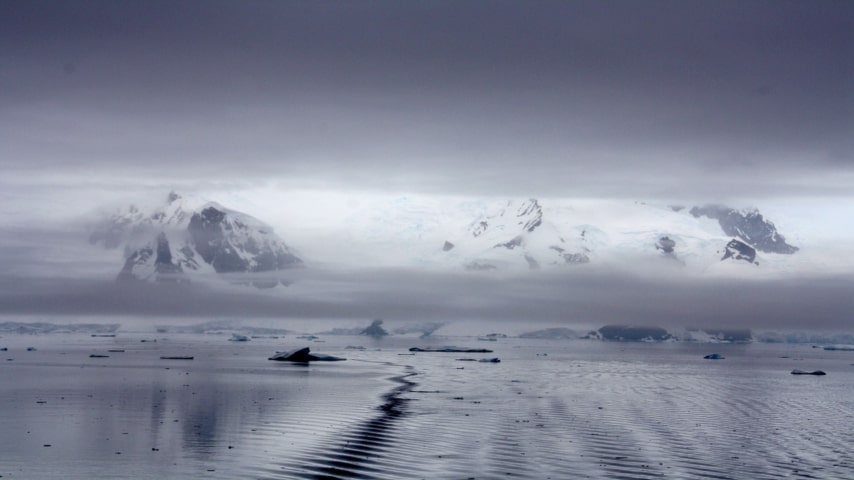 I ghiacciai dell'Antartide si stanno sciogliendo: dati allarmanti!