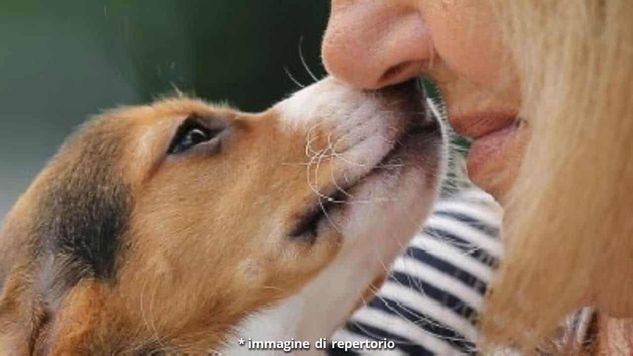 Padroni e animali domestici potranno stare insieme anche dopo la morte