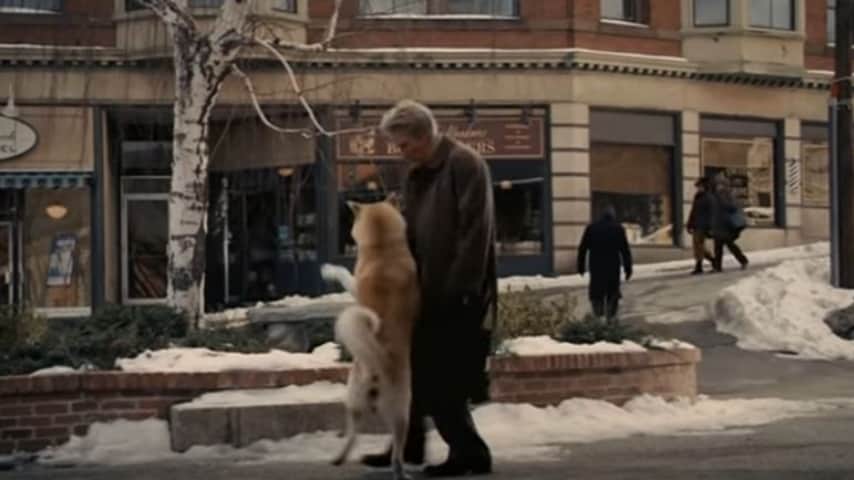 Un cane aspetta il suo padrone per 3 anni davanti l'ospedale