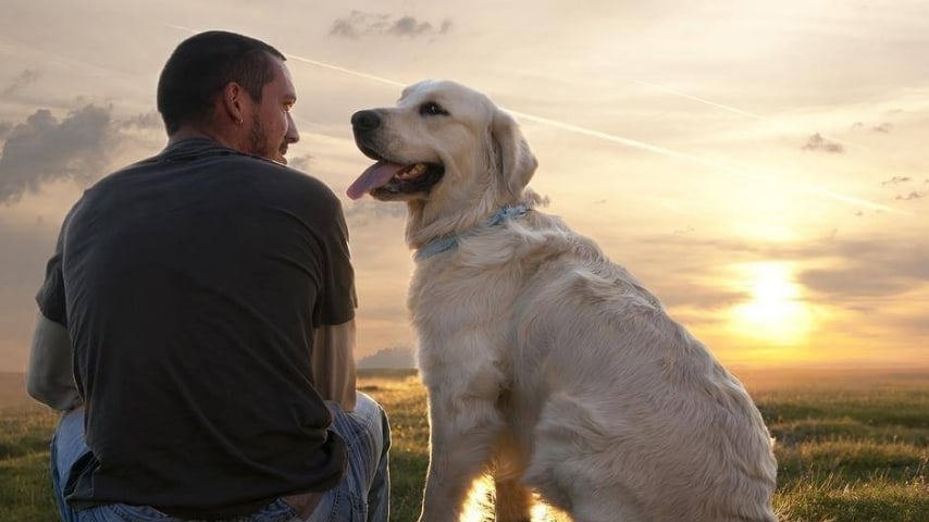 Il cane lo aspetta all'ospedale da 3 anni