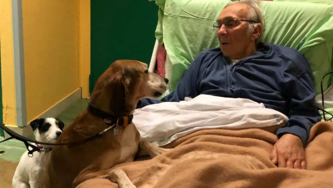 Anziano in fin di vita chiede di vedere per l'ultima volta i suoi cani in ospedale