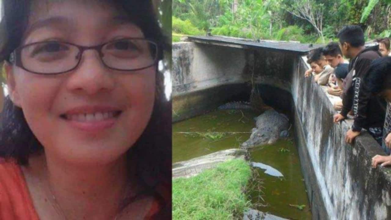 Indonesia, scienziata divorata da un coccodrillo mentre gli dava da mangiare