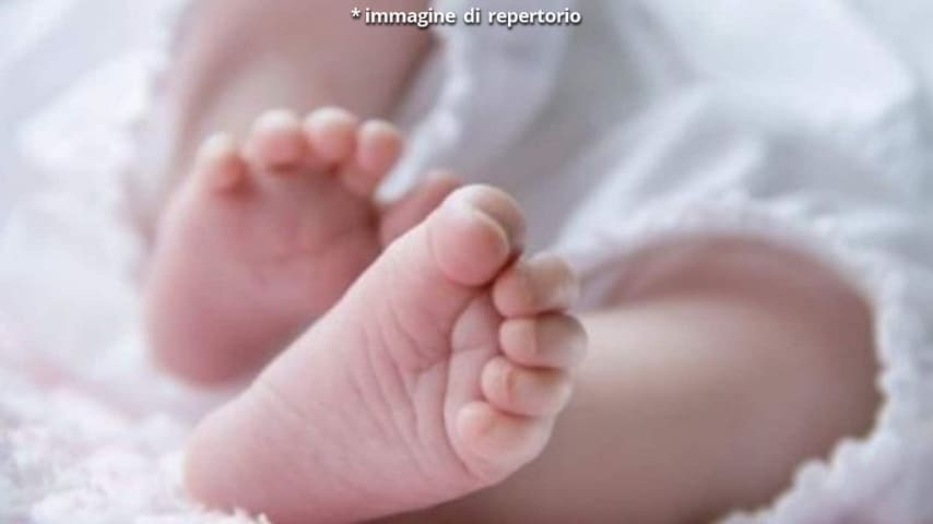 Un amestra d'asilo ha picchiato con violenza estrema un bambino