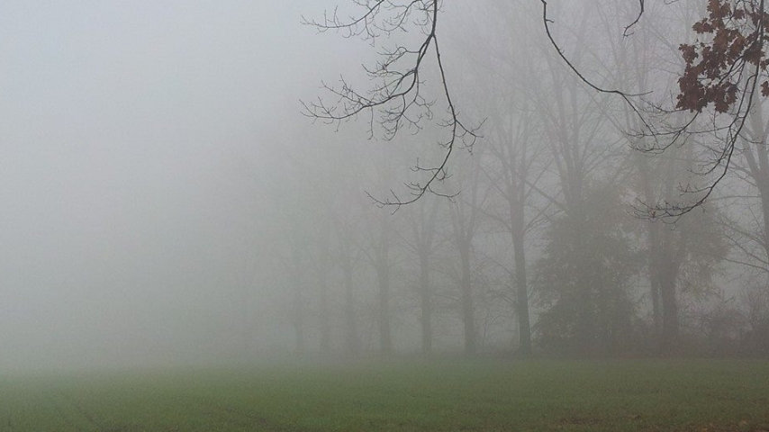 nebbia val padano