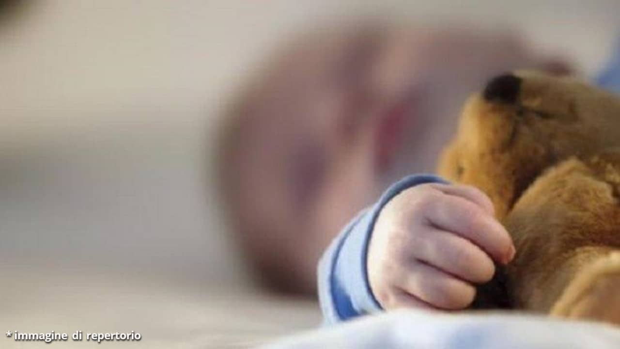 Bimbo di 3 anni si perde per 2 giorni nel bosco: salvato da un orso