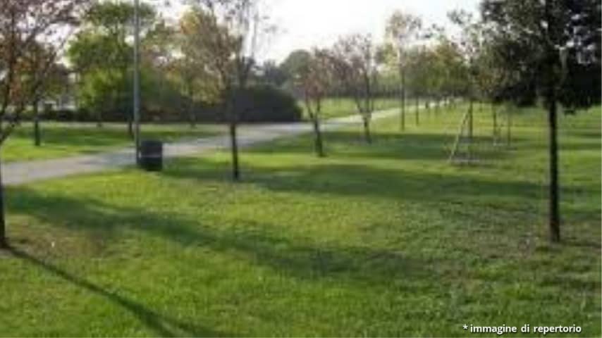 parco pubblico