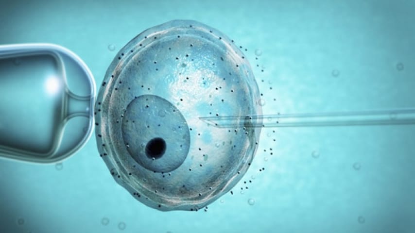 Resta incinta grazie alla tecnica degli embrioni con 3 genitori