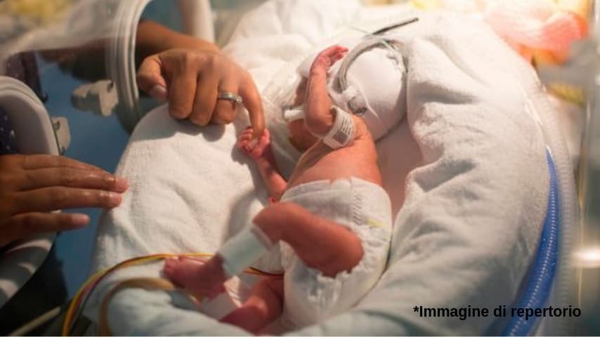 Neonato prematuro in incubatrice
