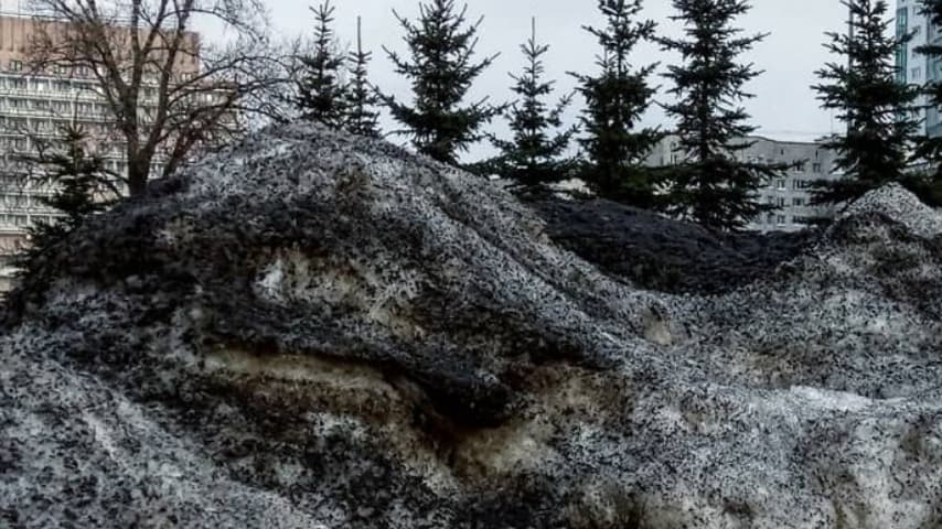 Le montagne di neve nera