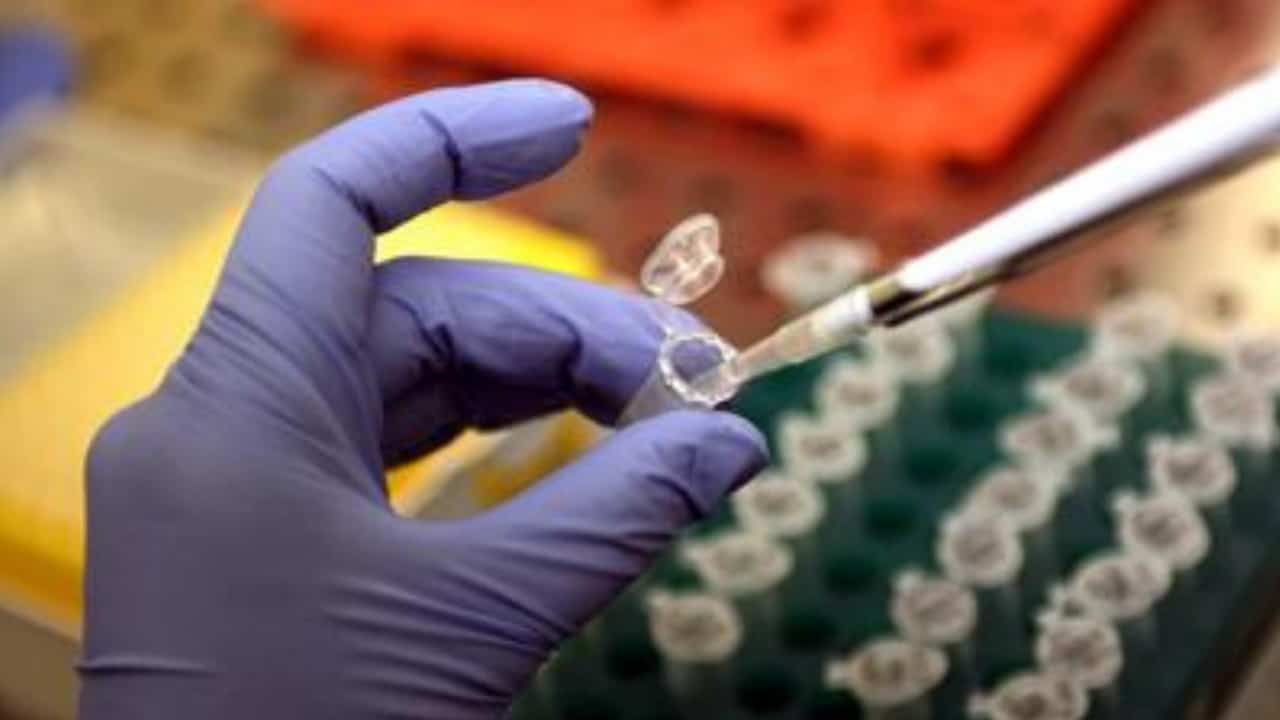 Testata forma di DNA sintetico, servirebbe anche a creare nuovi farmaci