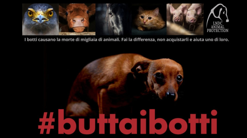 buttaibotti