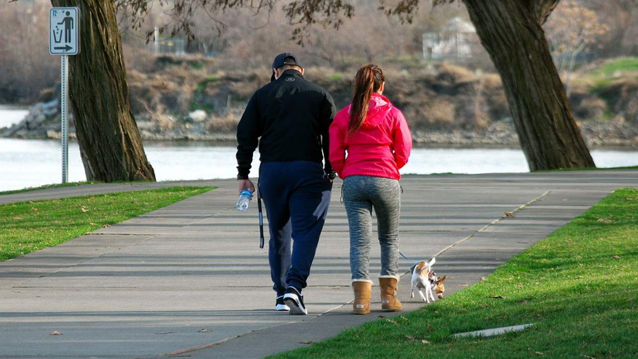 Telecamere contro chi non raccoglie gli escrementi dei cani