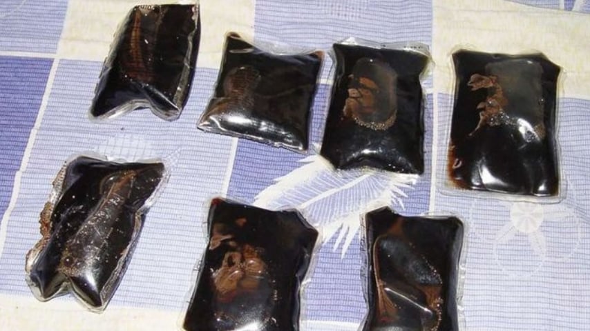 Le sacche di eroina liquida sequestrate. Foto: DEA