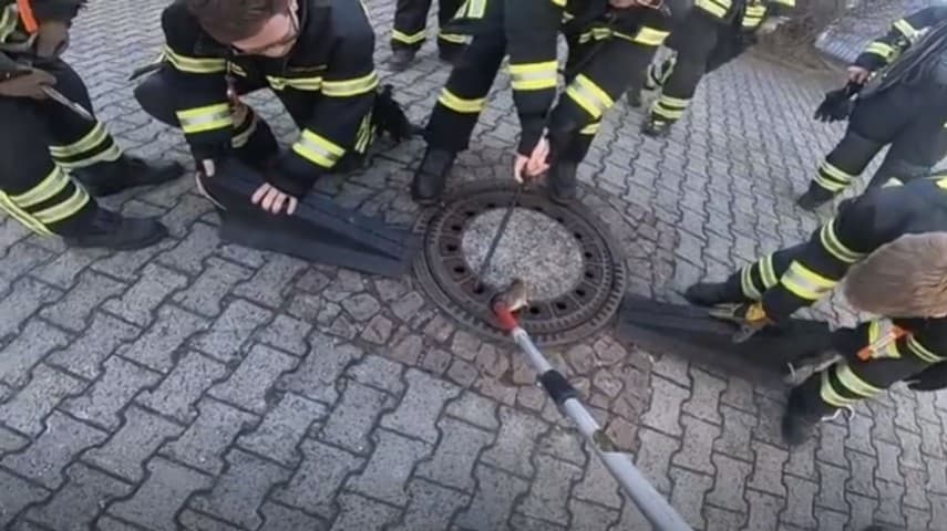 Topo grassottello resta incastrato nel tombino: 9 pompieri per liberarlo