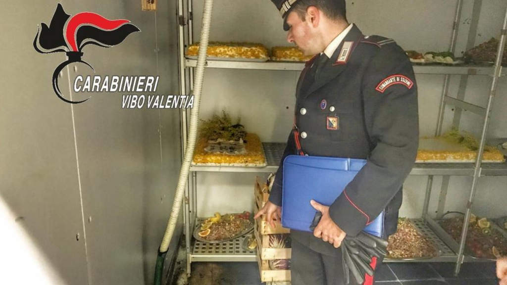 Le irregolarità scoperte dai Carabinieri Vibo Valentia