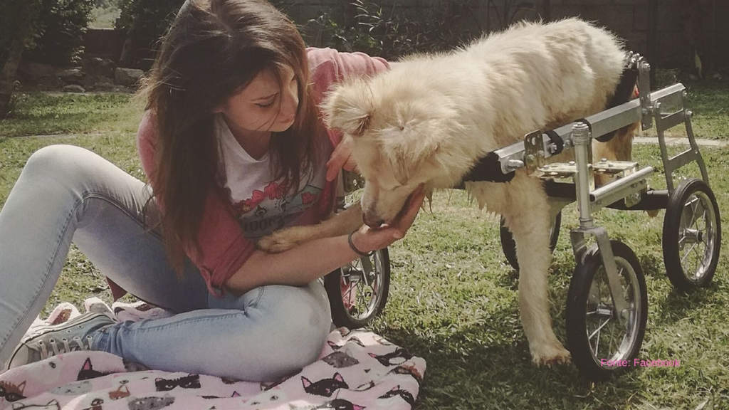 Debora Rizzo insieme ad un cane portatore di handicap