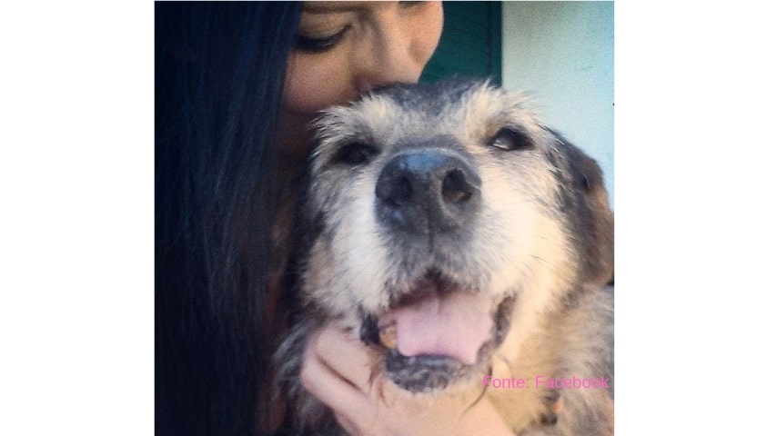 ragazza che abbraccia il suo cane anziano