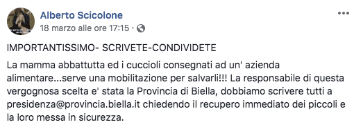 Alberto Scicolone su Facebook